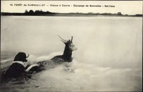 Ak Rambouillet Yvelines, Foret, Chasse a Courre, Equipage de Bonnelles, Bat l'eau