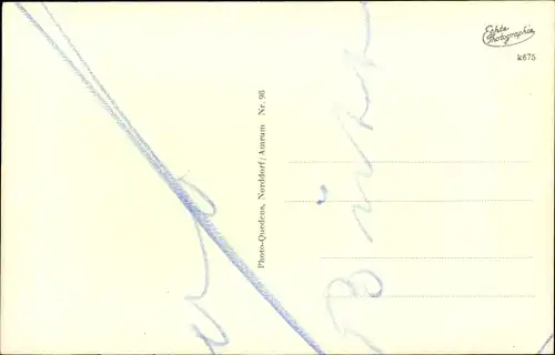 Ak Insel Amrum in Nordfriesland, Sturmmöwe, Austernfischer, Sandregenpfeifer