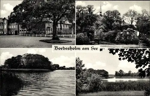 Ak Bordesholm in Holstein, See, Parkanlage, Baum, Gebäude