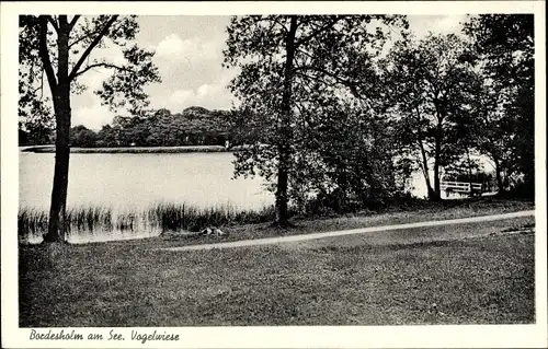 Ak Bordesholm in Schleswig Holstein, Vogelwiese