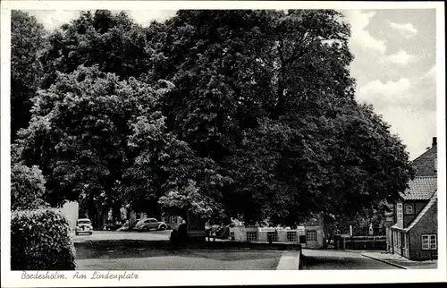 Ak Bordesholm in Schleswig Holstein, Lindenplatz, 600-jährige Linde