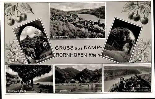 Ak Kamp Bornhofen am Rhein, Feindliche Brüder, Sterrenberg, Liebenstein, Altes Tor, Rheinpromenade