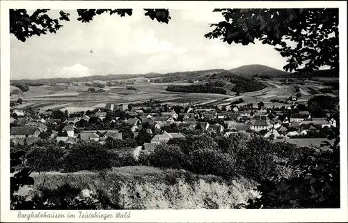 Ak Borgholzhausen in Westfalen, Panorama