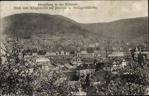 Ak Heidelberg am Neckar, Blick vom Klingenteich auf Jesuiten- und Heiliggeistkirche