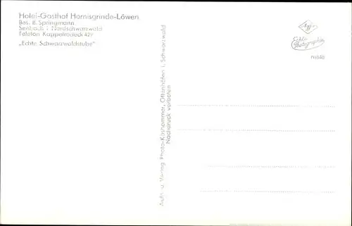 Ak Seebach in Baden Schwarzwald, Hotel Hornisgrinde Löwen, Panorama