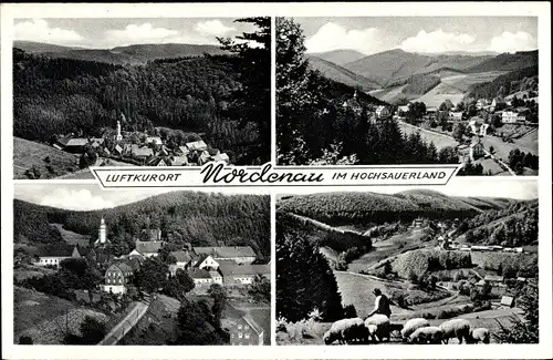 Ak Nordenau Schmallenberg im Sauerland, Hirte, Panorama, Schafsherde