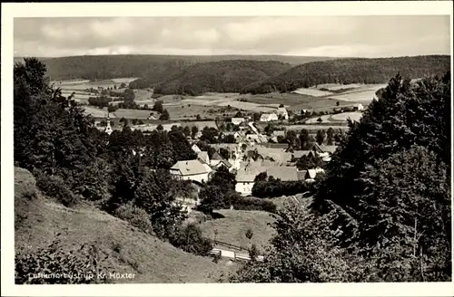 Ak Istrup Brakel in Westfalen, Panorama