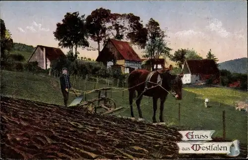 Ak Gruß aus Westfalen, Bauer mit Pferdepflug auf dem Feld