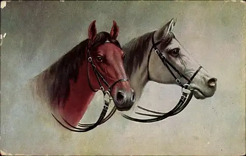 Künstler Ak Zwei Pferde, Kopfstudien, Zaumzeug