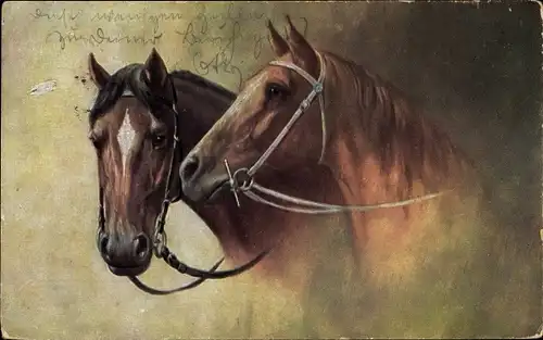 Künstler Ak Zwei braune Pferde mit Zaumzeugen