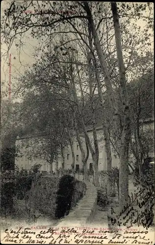 Ak Thuès les Bains Pyrénées Orientales, Vallee de la Tet, Allee de l'Etablissement