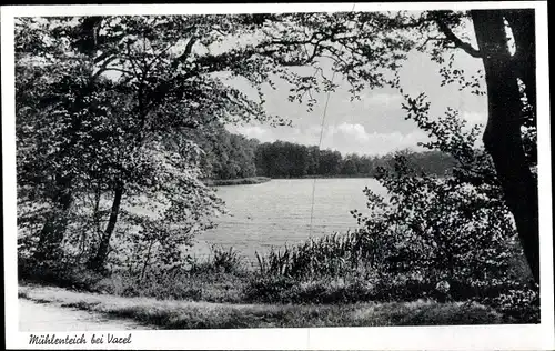 Ak Varel in Oldenburg Jadebusen, Mühlenteich