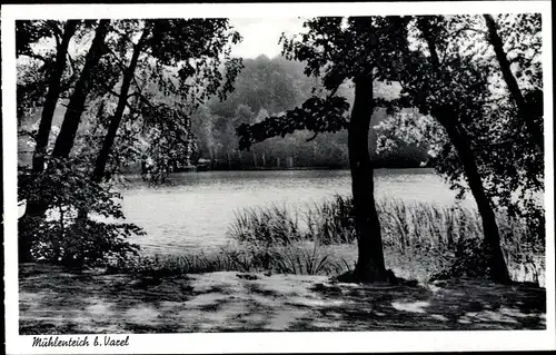 Ak Varel in Friesland, Partie am Mühlenteich