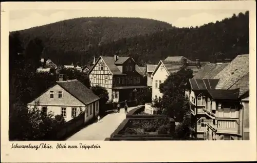 Ak Schwarzburg im Schwarzatal Thüringen, Blick zum Trippstein, Häuser