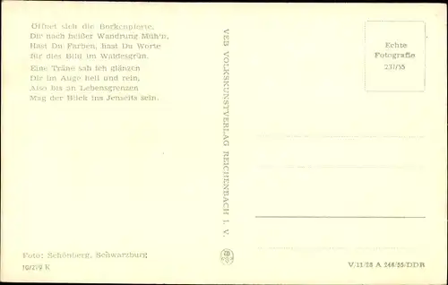 Ak Schwarzburg im Schwarzatal Thüringen, Blick zum Trippstein, Häuser