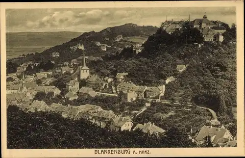 Ak Blankenburg am Harz, Gesamtansicht