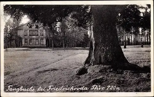 Foto Ak Friedrichroda im Thüringer Wald, Tanzbuche