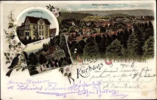 Litho Grünenplan Delligsen Niedersachsen, Kurhaus, Oberförsterei, Totalansicht