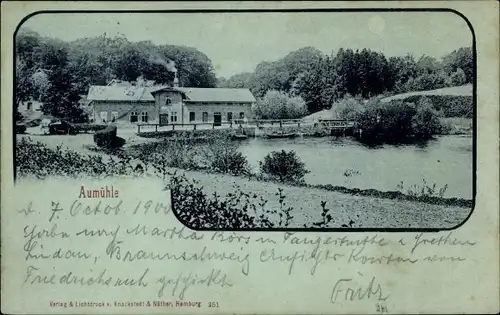 Mondschein Ak Aumühle im Herzogtum Lauenburg, Blick über Gewässer zu einem Haus