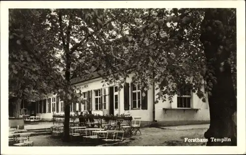 Ak Potsdam in Brandenburg, Forsthaus Templin