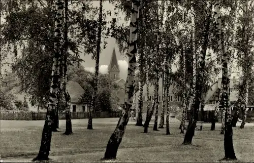 Ak Prieros Heidesee in der Mark, Blick zur Kirche, Birkenwald