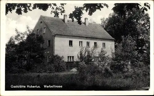 Ak Joachimsthal in Brandenburg, Gaststätte Hubertus am Werbellinsee