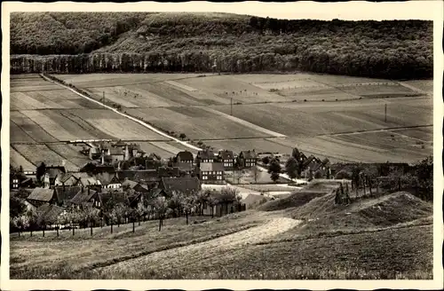 Ak Groß Freden an der Leine Niedersachsen, Panorama mit Selterklippen