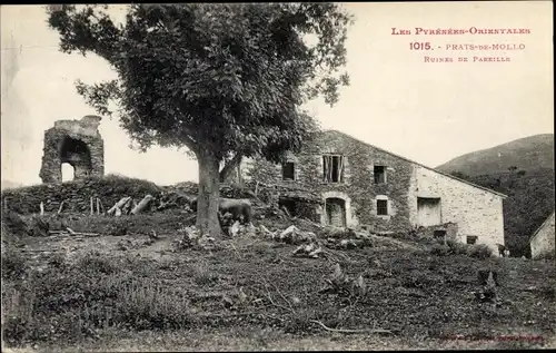 Ak Prats de Mollo Pyrénées Orientales, Ruines de Pareille