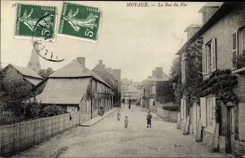 Ak Moyaux Calvados, La Rue du Pin