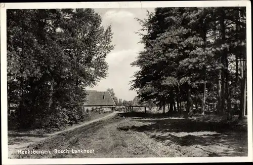 Ak Haaksbergen Overijssel, Bosch Lankheet