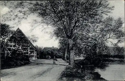 Ak Sielbeck Eutin in Ostholstein, Straßenpartie, Haus, Bäume