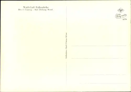 Ak Bad Driburg in Westfalen, Wald-Cafe Falkenhöhe, Straßenpartie, Bäume