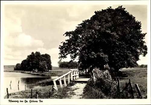 Ak Eutin in Ostholstein, Großer Eutiner See, Uferweg