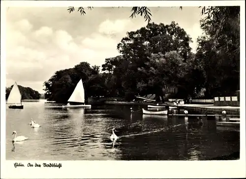Ak Eutin in Ostholstein, An der Stadtbucht, Schwäne, Segelboote