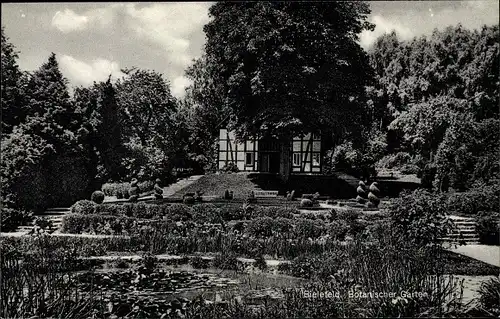 Ak Bielefeld in Nordrhein Westfalen, Botanischer Garten