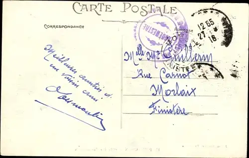 Ak Perpignan Pyrénées Orientales, Allee des Marronniers