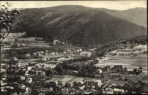 Ak Bad Blankenburg in Thüringen, Blick vom Greifenstein