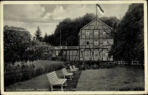 Ak Michelstadt im Odenwaldkreis Südhessen, Kur- und Erholungsheim Waldhorn