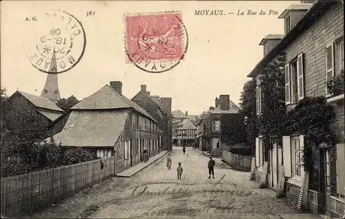 Ak Moyaux Calvados, La Rue du Pin