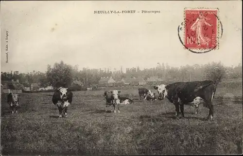 Ak Neuilly la Forêt Calvados, Paturages