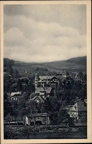 Ak Duszniki Zdrój Bad Reinerz Schlesien, Sanatorium Dr. Schoen, Blick auf den Ort