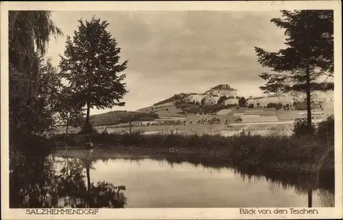 Ak Salzhemmendorf in Niedersachsen, Blick von den Teichen