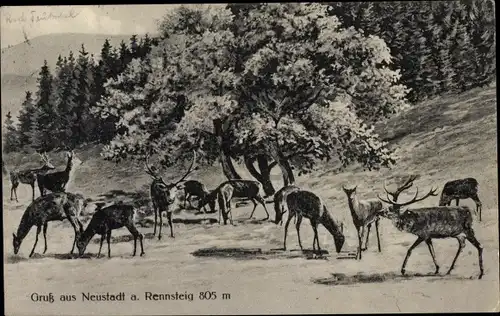 Künstler Ak Neustadt am Rennsteig Großbreitenbach in Thüringen, Hirsche