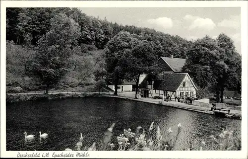 Ak Epscheid Breckerfeld in Westfalen, Epscheider Mühle, Erholungsheim der Naturfreunde, Schwäne