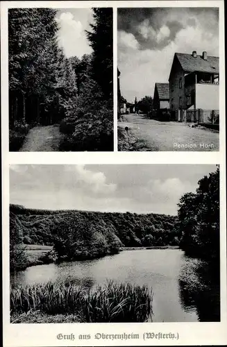 Ak Oberzeuzheim Hadamar in Hessen, Pension Horn, Wasserpartie