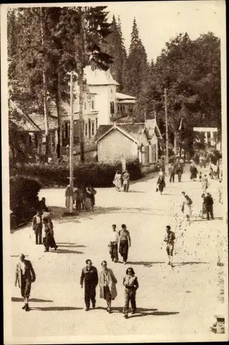 Ak Borsec Rumänien, Promenade