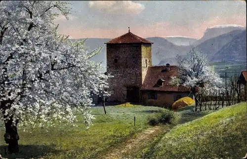 Ak Tirol, Photochromie, Nenke und Ostermaier 143 2697, Obstblüte in Tirol