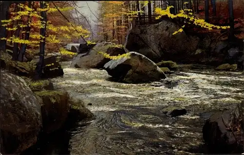 Ak Photochromie, Nenke und Ostermaier Serie 252 Nr. 3999, Herbst, Flusspartie, Wald