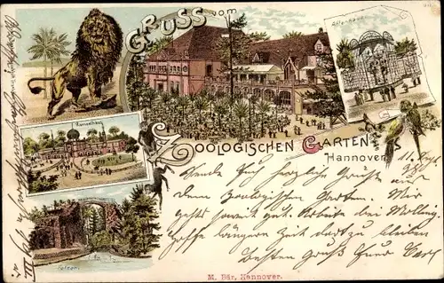 Litho Hannover in Niedersachsen, Der Zoologische Garten, Löwe, Affenhaus, Kamelhaus, Felsen