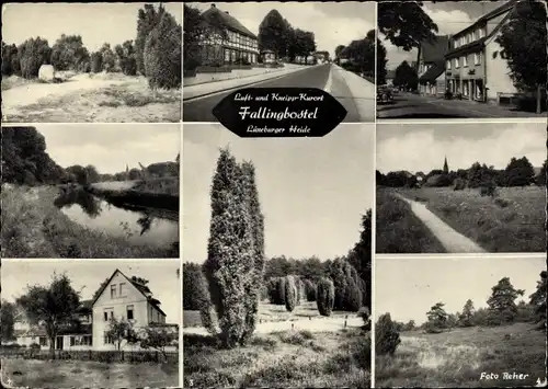 Ak Bad Fallingbostel Lüneburger Heide, Detailansichten